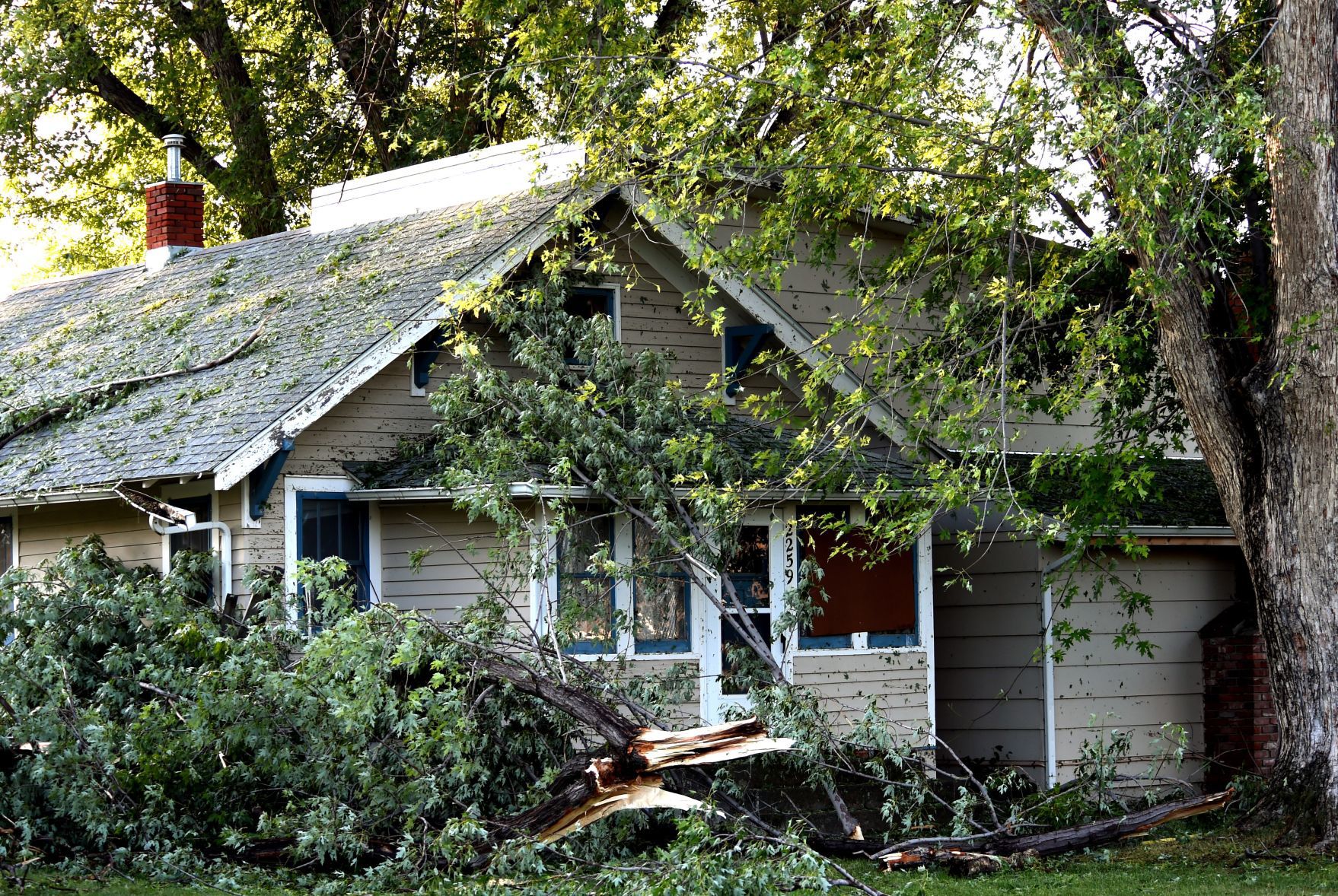 Storm aftermath